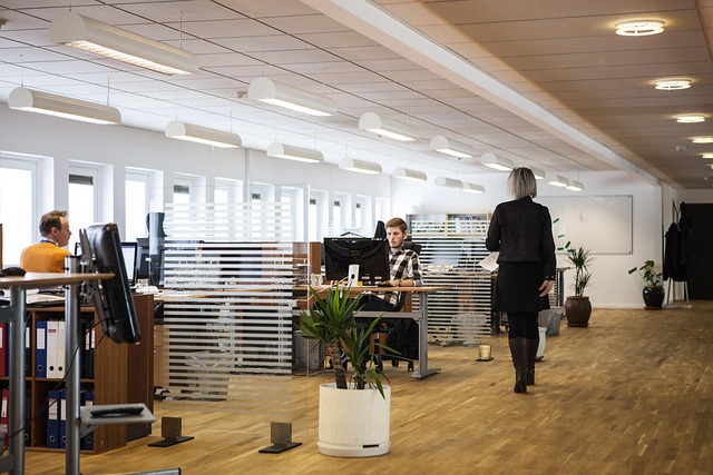 Premium Co working Spaces Where Professionals Thrive Together