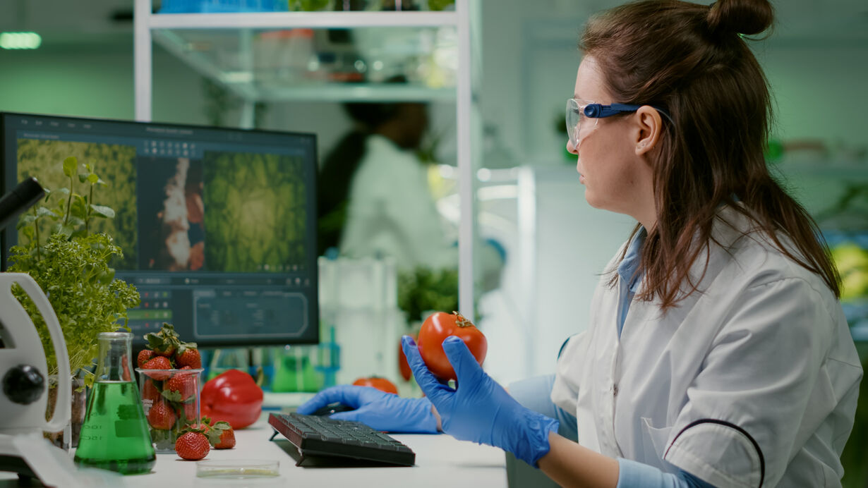 Understanding ISO 22000 Certification
