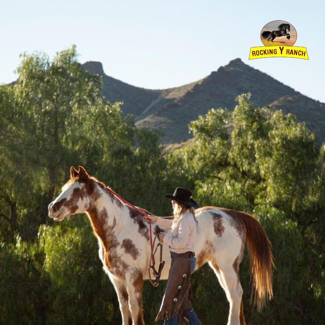 Safe & Reliable Horse Trailering in California