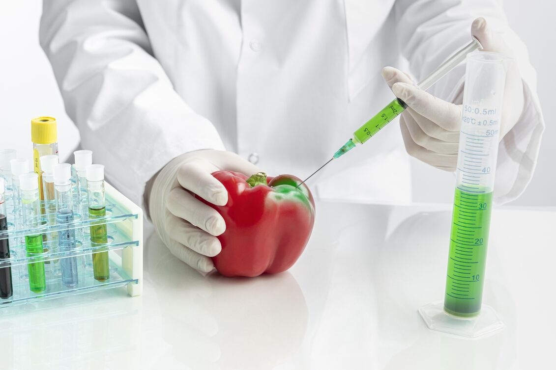 HACCP Certification in Vietnam: A Step Towards Food Safety and Quality