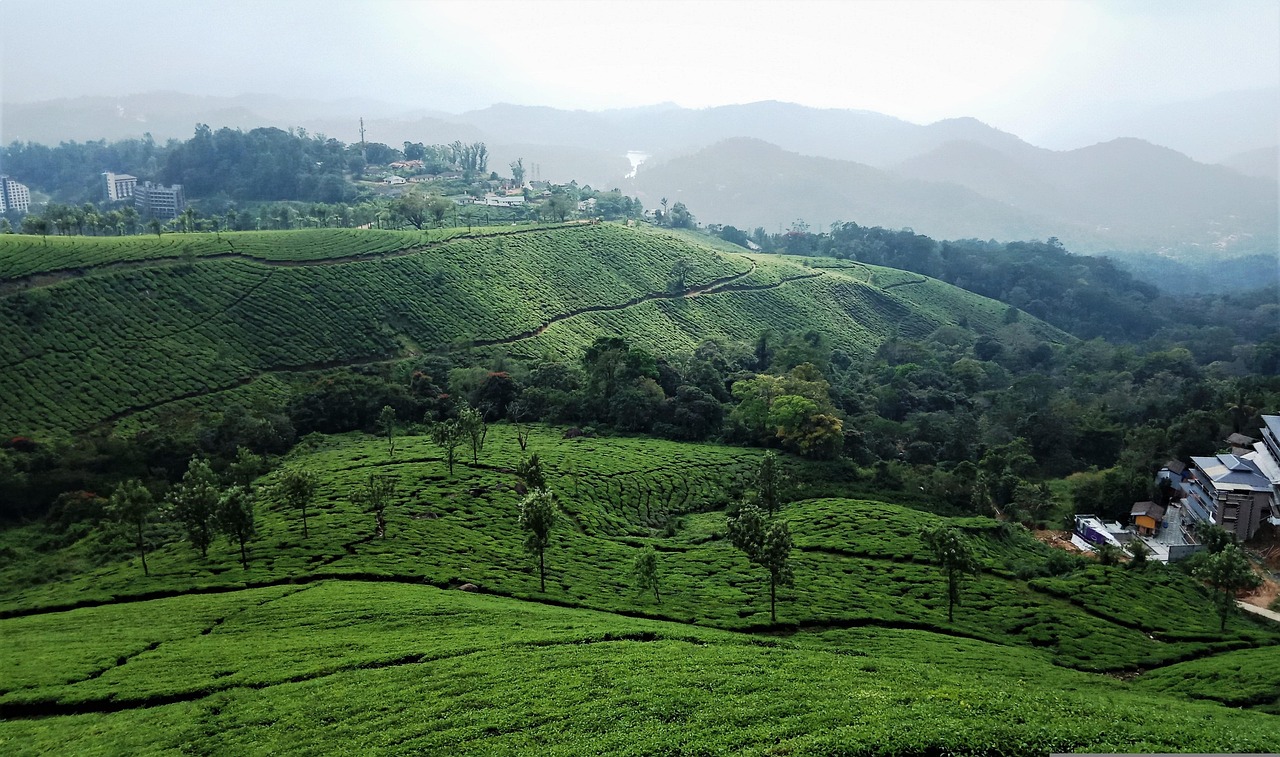 7 Days Kerala Backwater Tour – Houseboats & Serenity